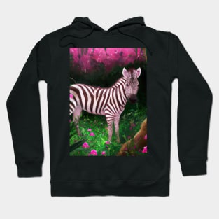 Pink Zebra Hoodie